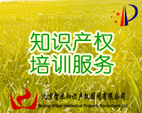 知识产权培训服务