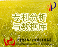 专利信息分析及数据库服务