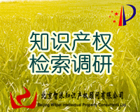 知识产权检索调研