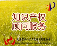 跨境电商知识产权服务