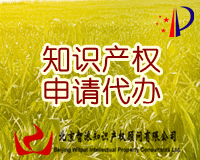 知识产权申请代办服务